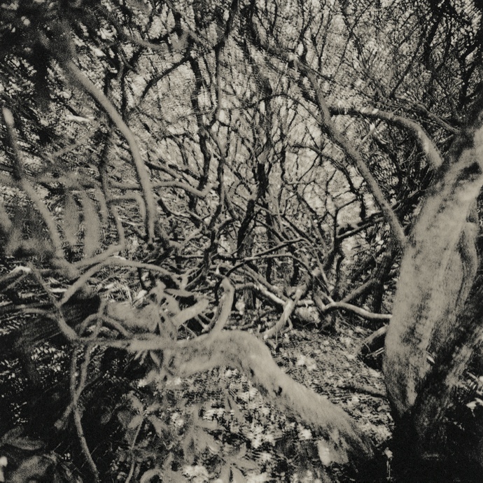 cd dvd overprint_454_IAN